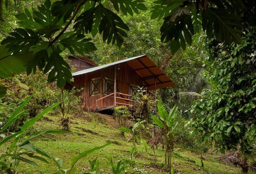 Hotelli Sukia Hostel