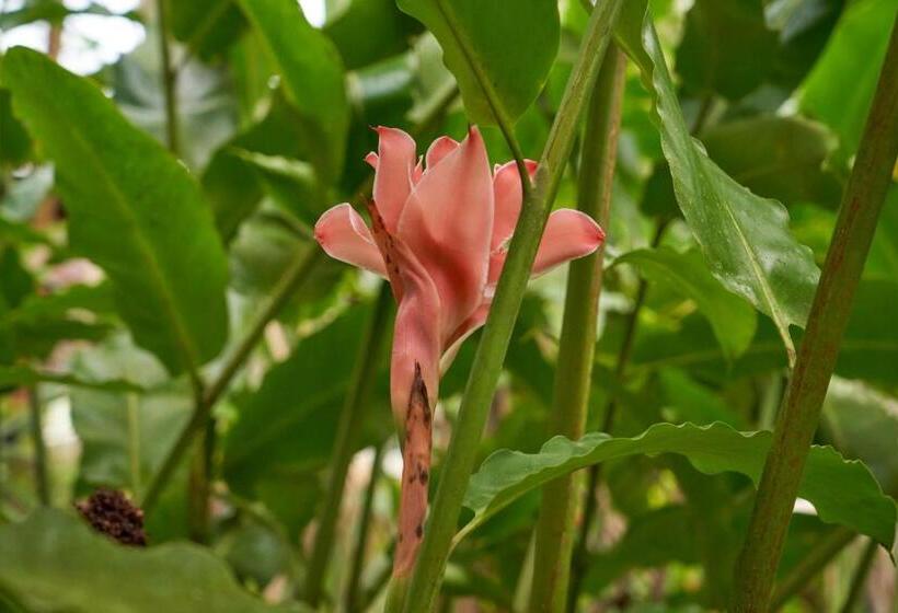 Hotelli Sukia Hostel