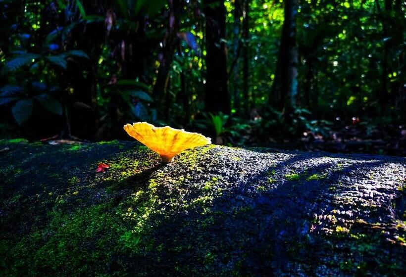 Hotelli Sukia Hostel