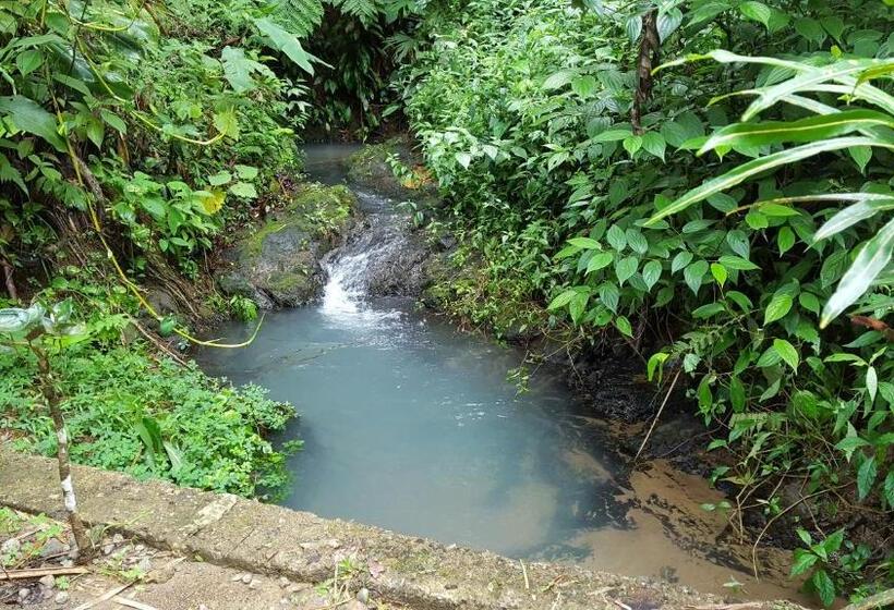 Hotelli Sukia Hostel