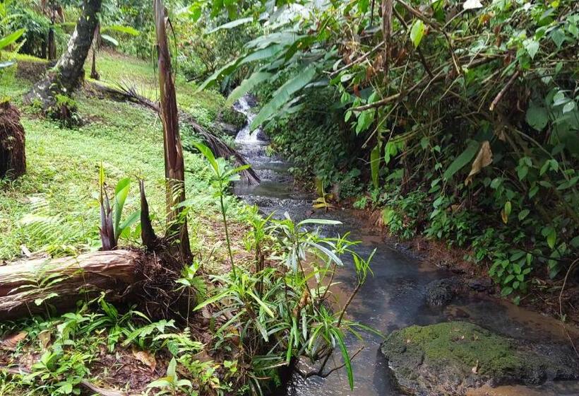 Hotelli Sukia Hostel