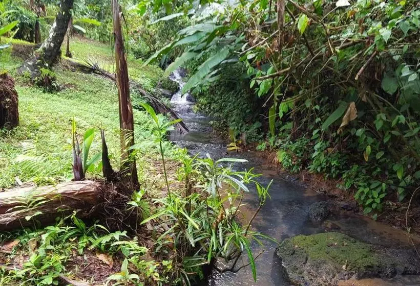 ホテル Sukia Hostel