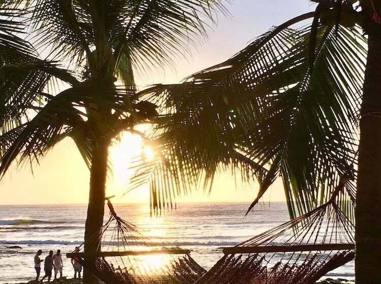 ホテル Ten North Tamarindo Beach