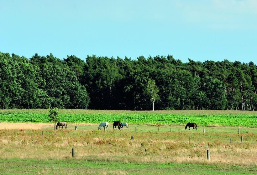 Wolfshotel Am Arendsee