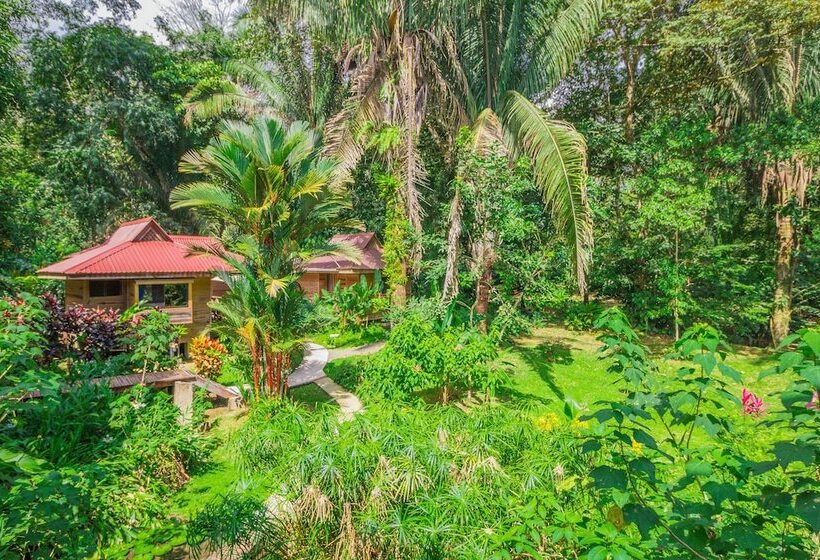 Bed and Breakfast El Mono Feliz