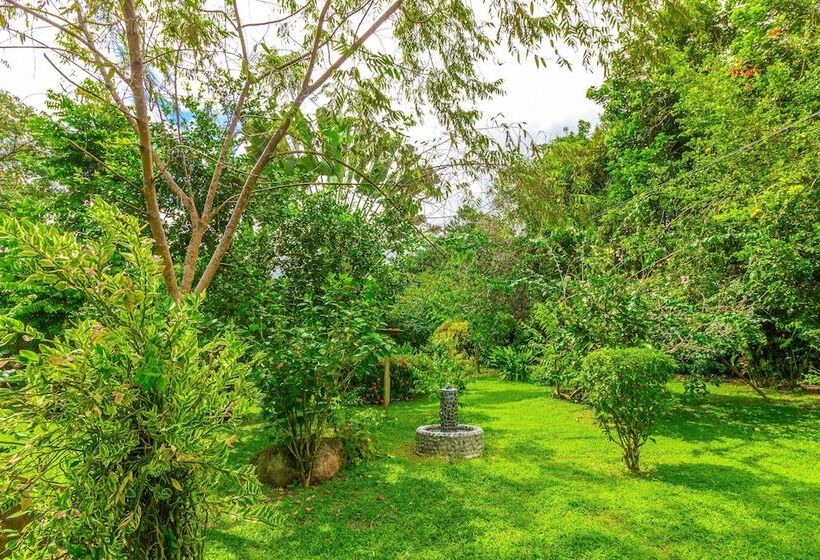 Bed and Breakfast El Mono Feliz