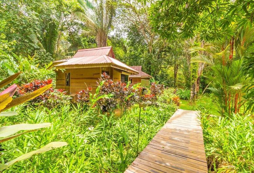 Bed and Breakfast El Mono Feliz