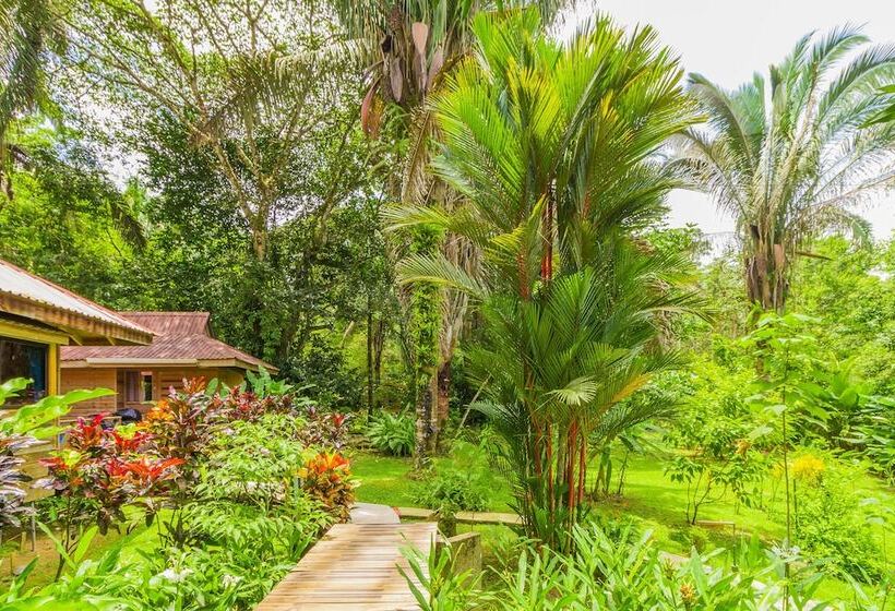 Bed and Breakfast El Mono Feliz