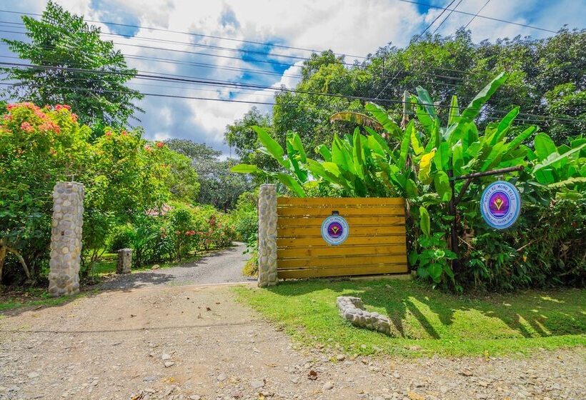 Bed and Breakfast El Mono Feliz