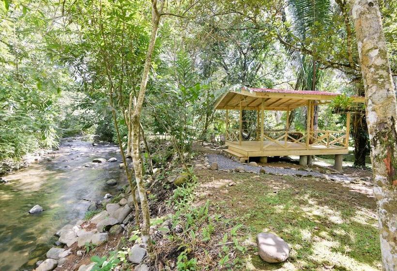 Bed and Breakfast El Mono Feliz