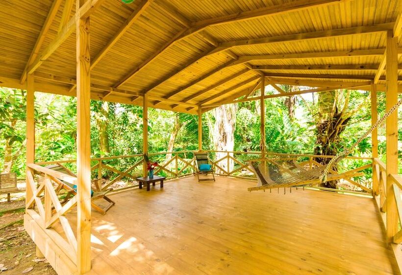 Bed and Breakfast El Mono Feliz