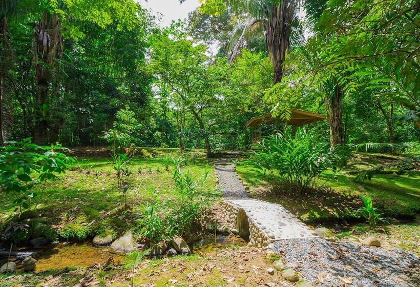 Bed and Breakfast El Mono Feliz