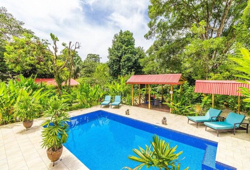 Bed and Breakfast El Mono Feliz