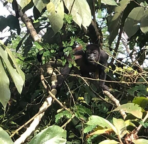 Cascada Verde Hostel