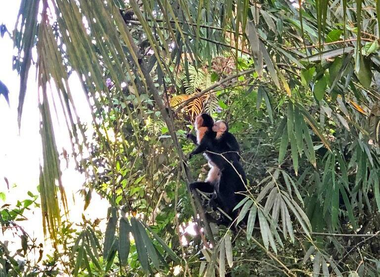 Cascada Verde Hostel