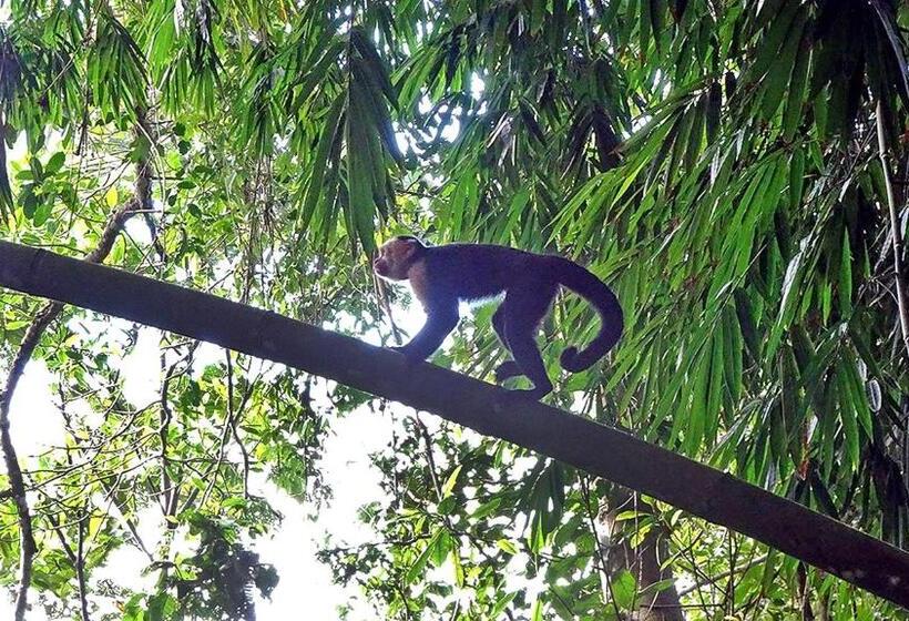 Cascada Verde Hostel