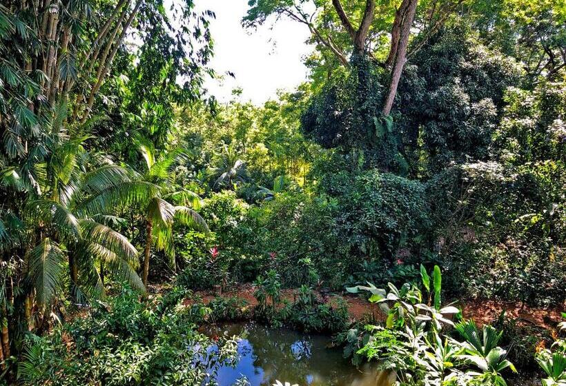 Cascada Verde Hostel