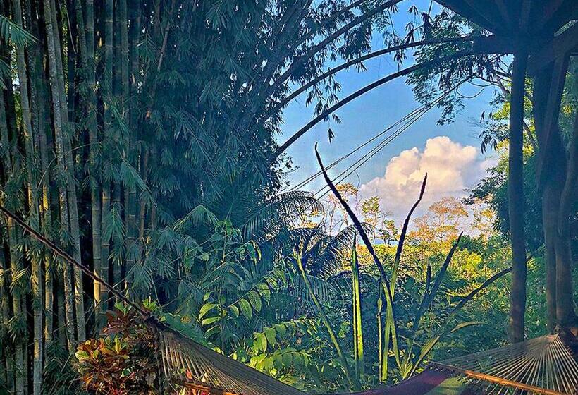 Cascada Verde Hostel