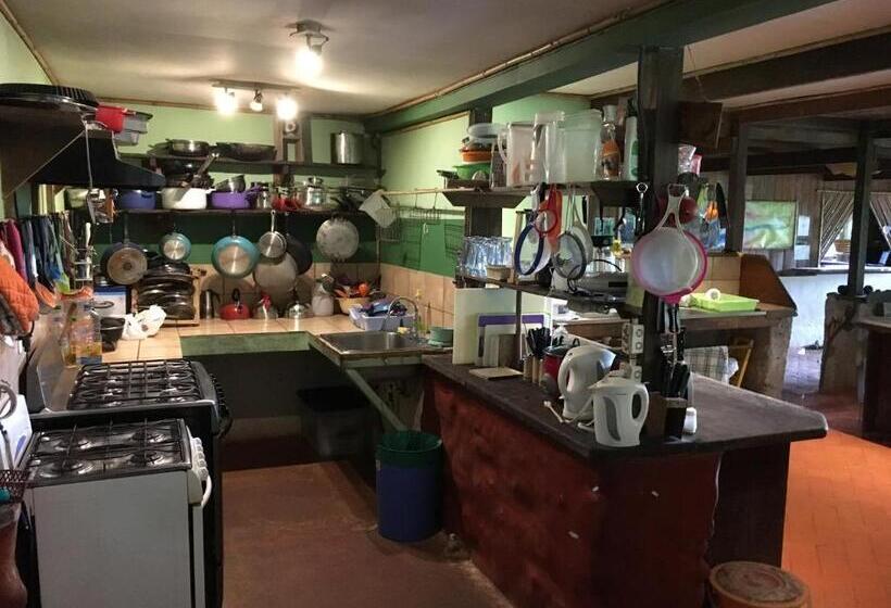 Cascada Verde Hostel