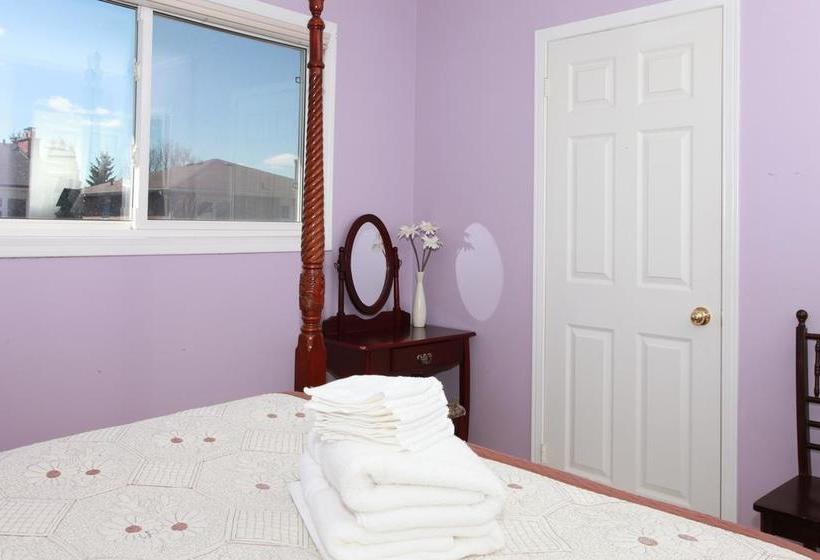 酒店 Amanda's Bed And Breakfast