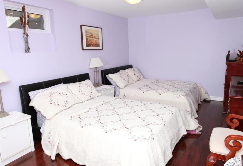 酒店 Amanda's Bed And Breakfast