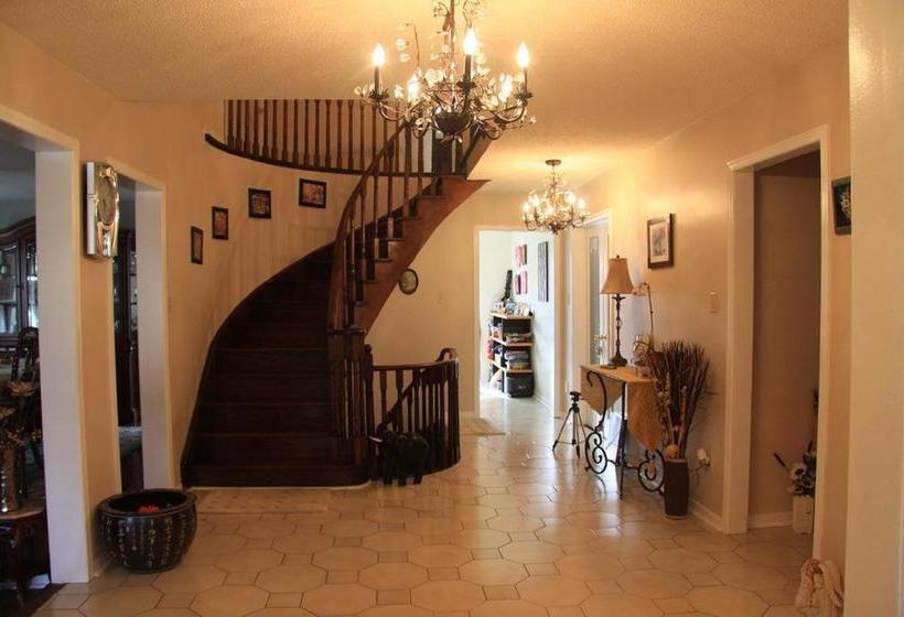 酒店 Amanda's Bed And Breakfast