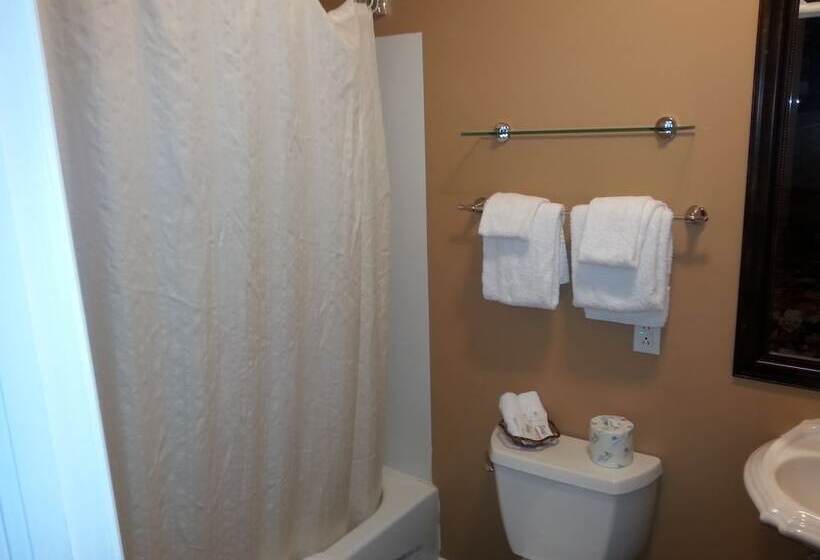 Отель Bracebridge Inn