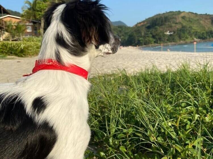 Hotel Chales Do Paulo