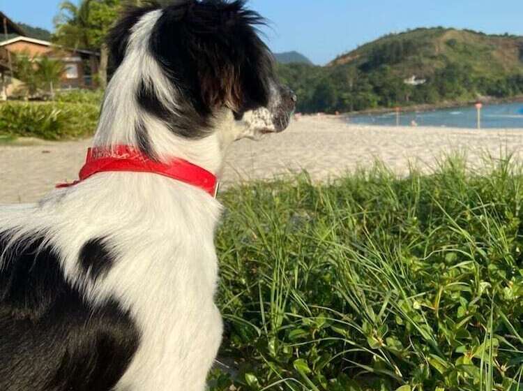 Hotel Chales Do Paulo