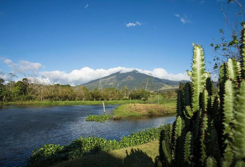 Colinas Del Miravalles Hotel & Hot Springs