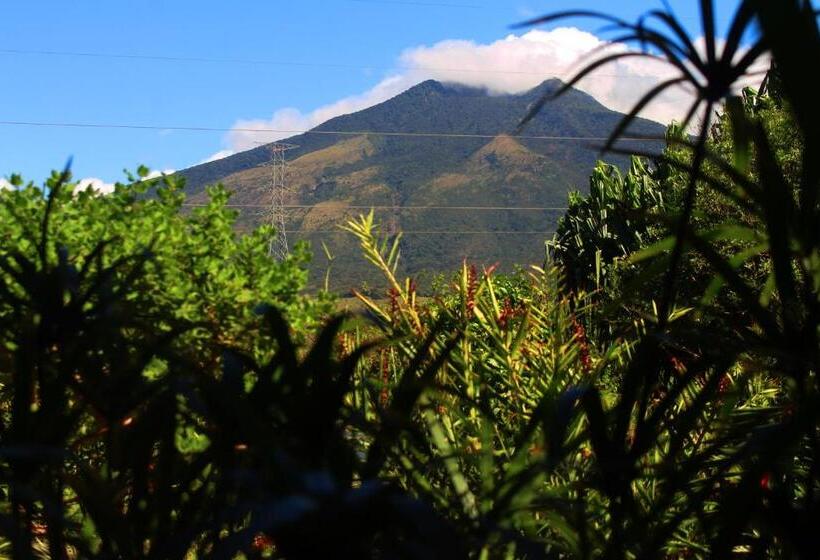 Colinas Del Miravalles Hotel & Hot Springs