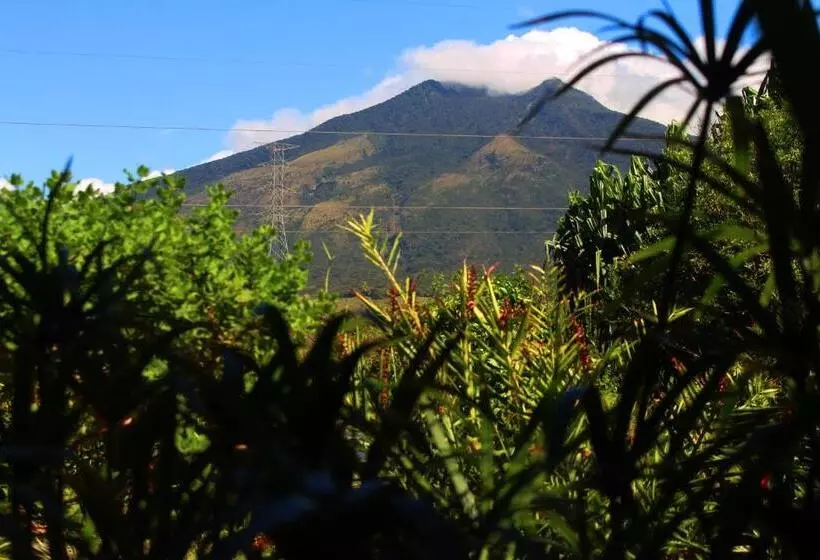Colinas Del Miravalles Hotel & Hot Springs