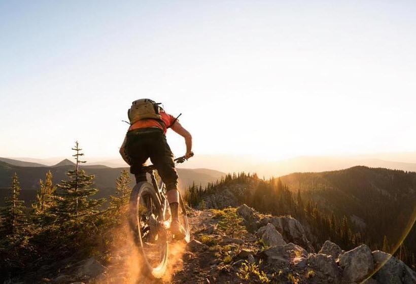 酒店 Dancing Bear Inn Hostel