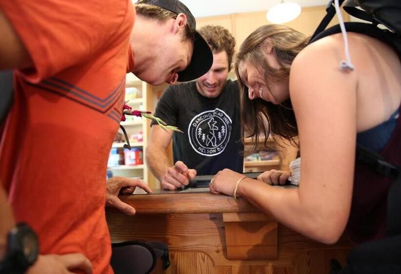 酒店 Dancing Bear Inn Hostel