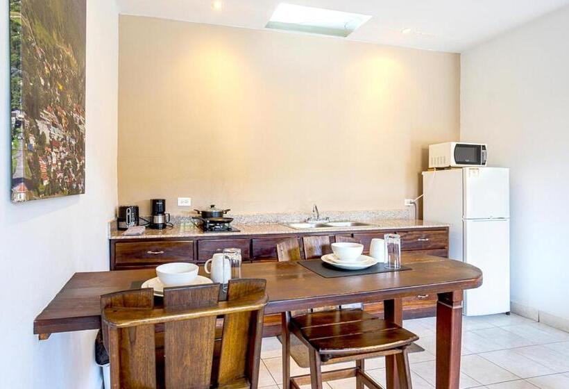 Отель Downtown Suites