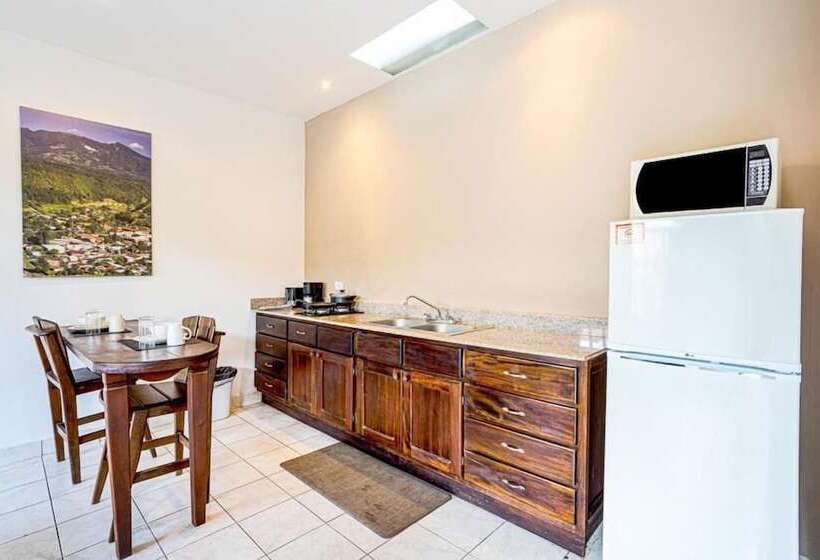 Отель Downtown Suites