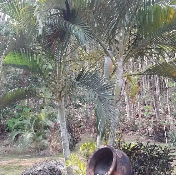 ホテル El Jardin