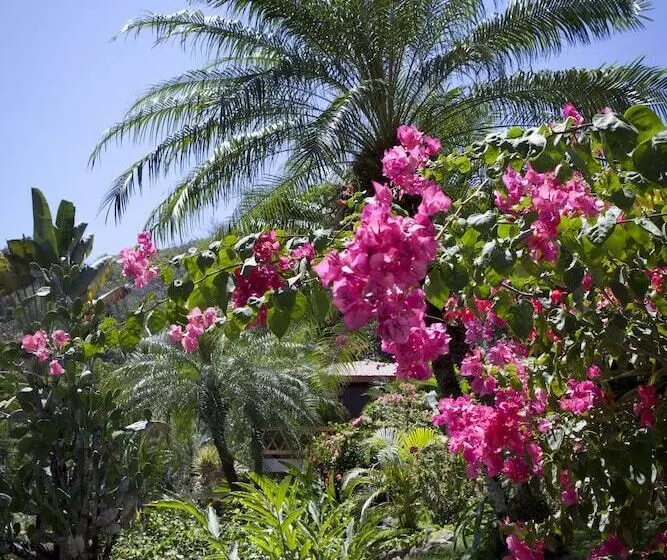 ホテル El Jardin