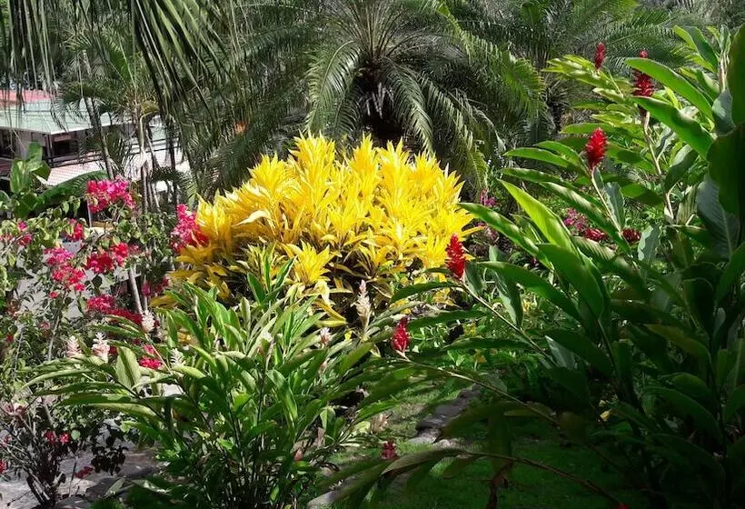 ホテル El Jardin