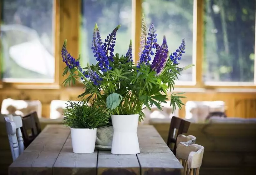 Hotelli Guesthouse Eleven