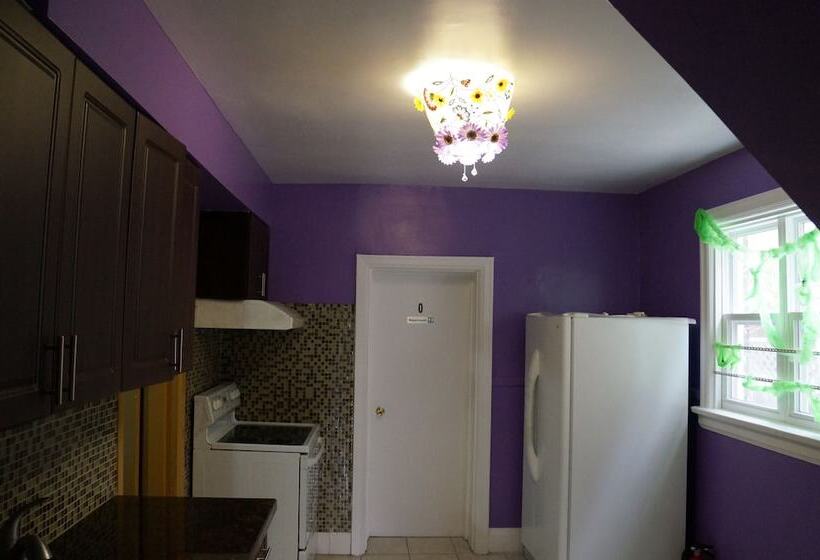 فندق Kensington Market Hostel