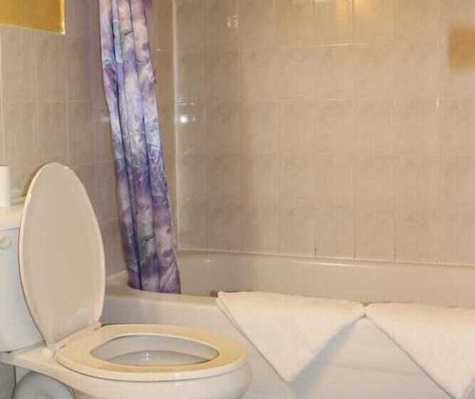 فندق Kensington Market Hostel