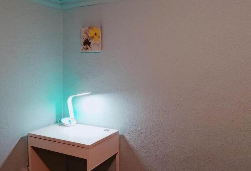 فندق Kensington Market Hostel