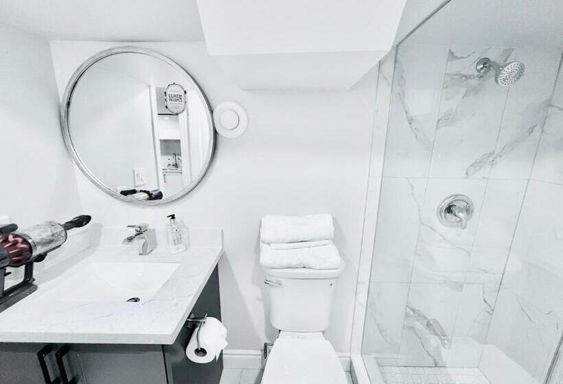 فندق Kensington Market Hostel