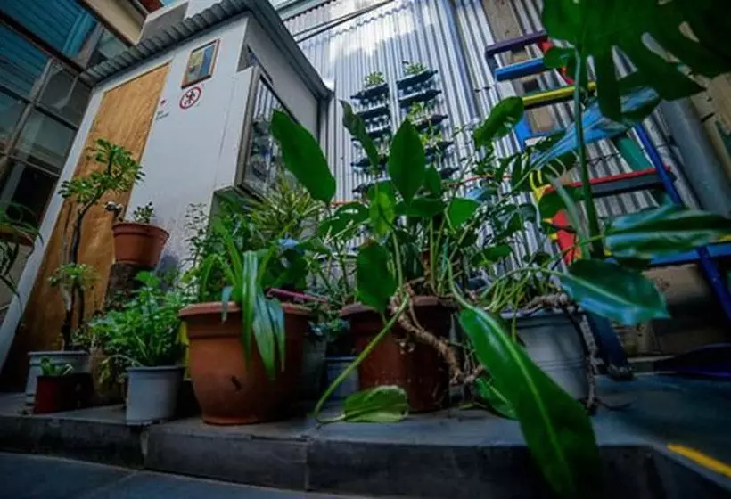 هتل La Valija Hostel