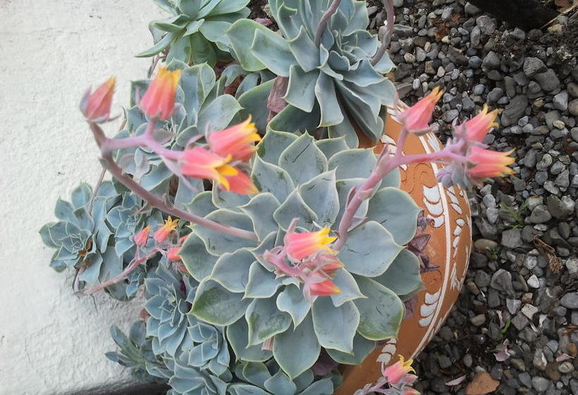 호텔 Lough Owel Lodge