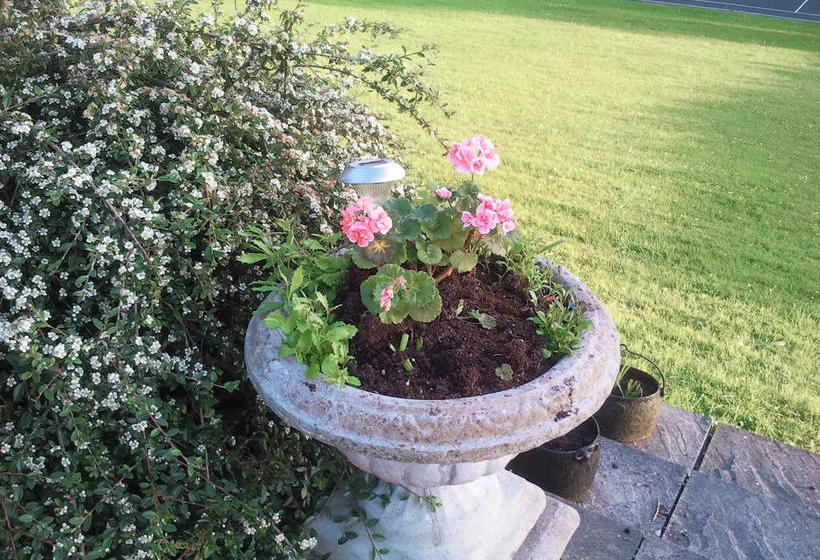 호텔 Lough Owel Lodge