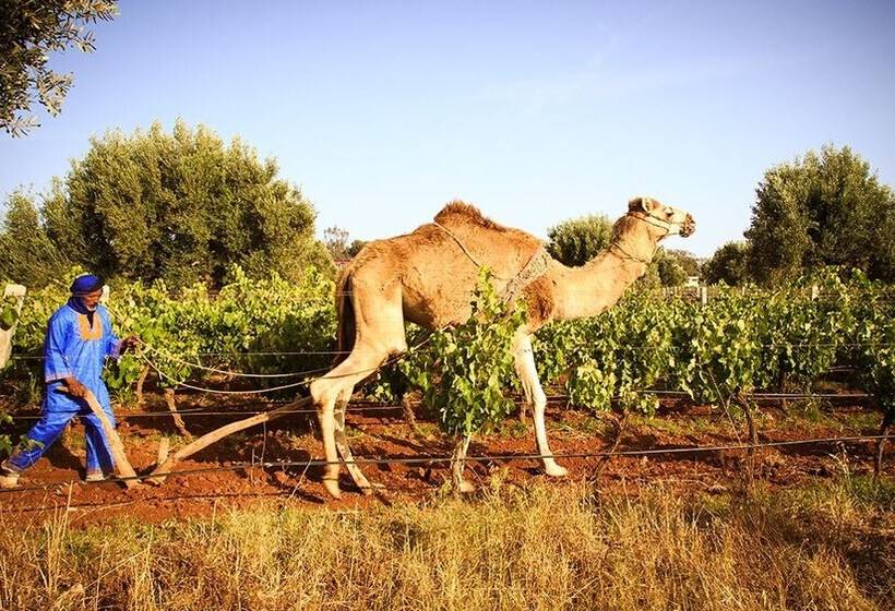 Hotel Ryad Des Vignes
