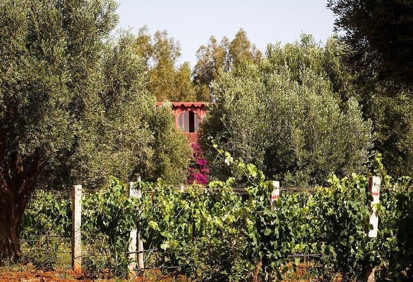 Hotel Ryad Des Vignes
