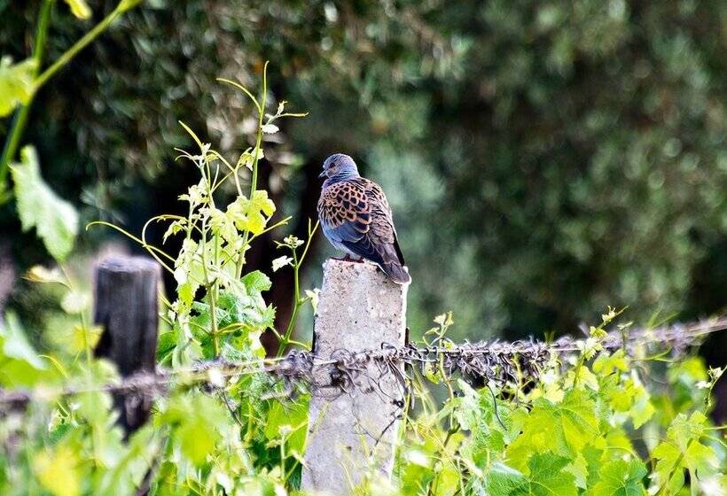 Hotel Ryad Des Vignes
